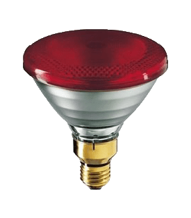 Infra Red Heat Lamps