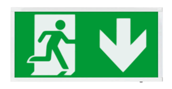 ESP LED EMERGENCY LIGHTING MAINTAINED 3W, EMERGENCY SIGN DOWN