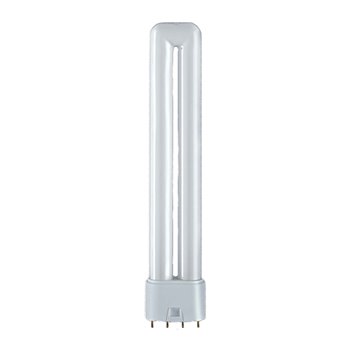 PL Compact Fluorescent Lamp 4 Pin 36W PL364P